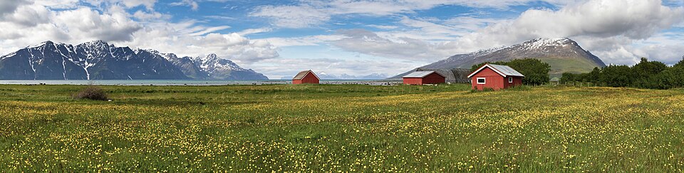 Scandinavian IPTV - röda stugor, blommande äng och snöklädda fjäll i Norden